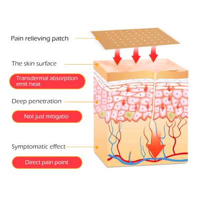TICARE® Porous Capsicum Plaster Hot Patches for Back Pain and Sprain